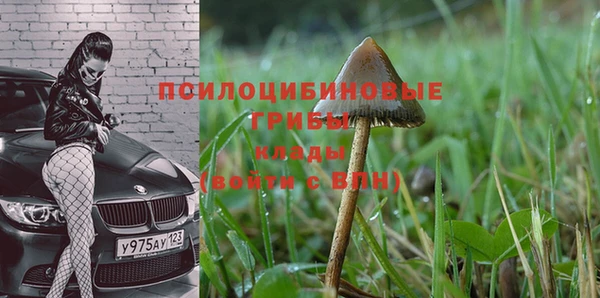 спиды Алексеевка